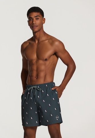 Shiwi Board Shorts 'puffin 4-way stretch' in Grün