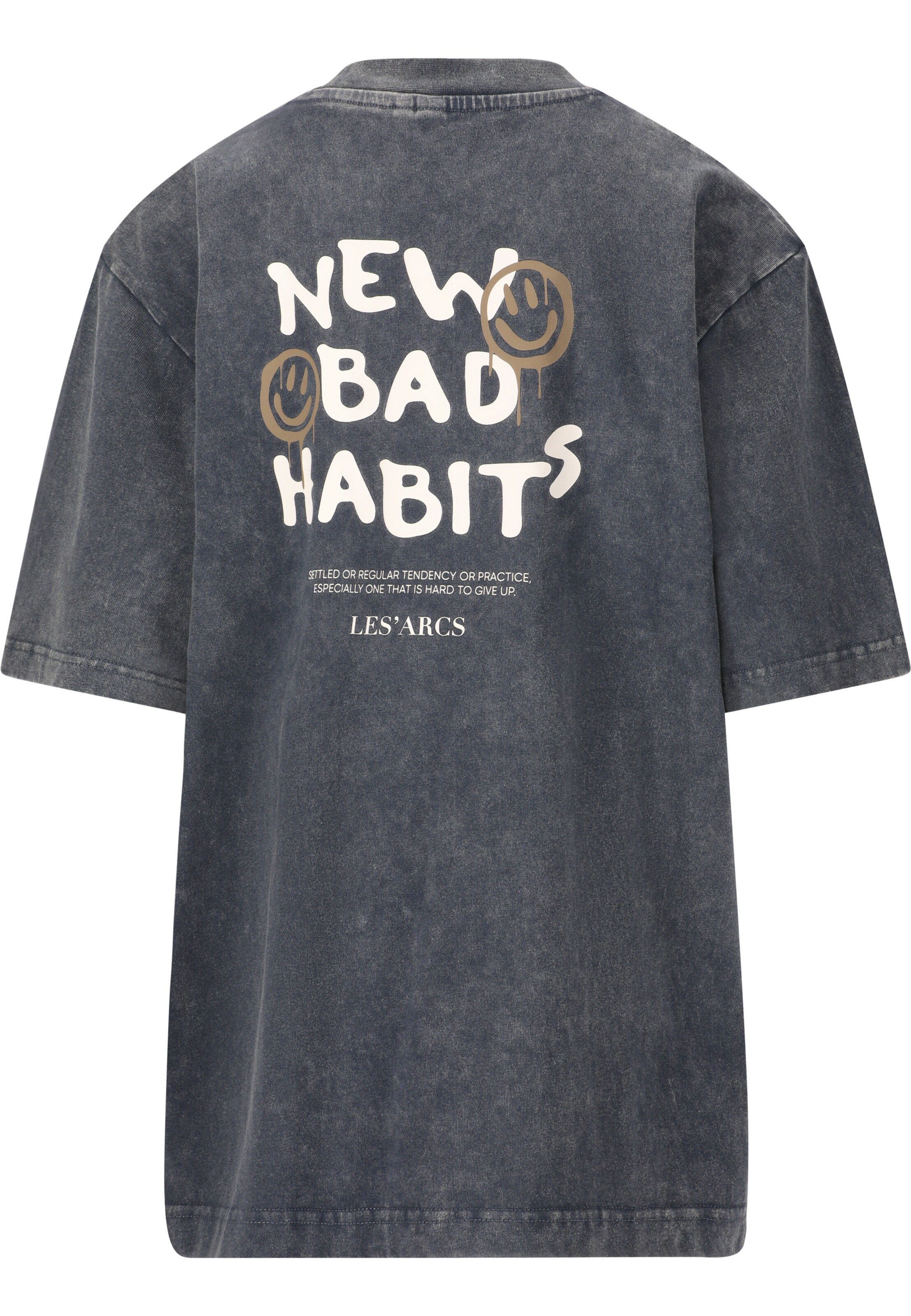 Les'Arcs Performance Shirt 'Neei' in Grey