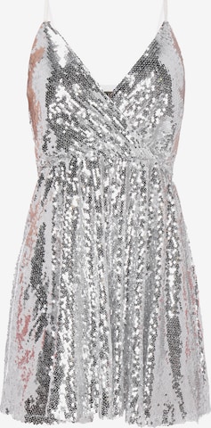 Robe faina en argent : devant