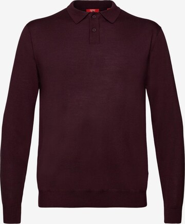 ESPRIT Sweater in Purple: front