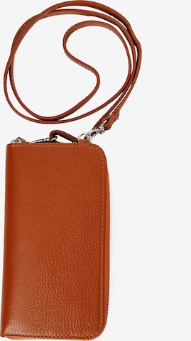 Emma & Kelly Crossbody Bag in Brown