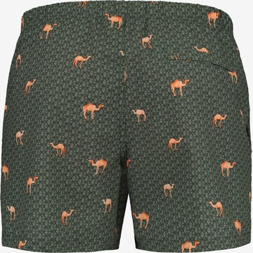 Shorts de bain Shiwi en vert