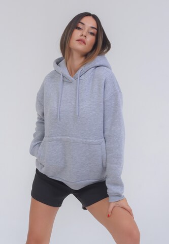 FRESHLIONS Sweatshirt 'Balina' in Grijs: voorkant
