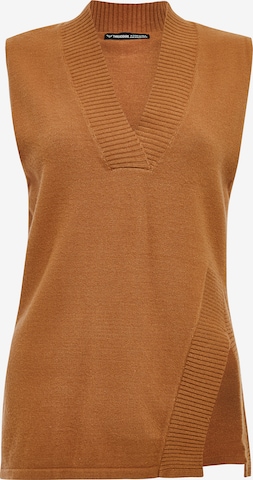 Threadbare Sweater 'Zofia' in Brown: front