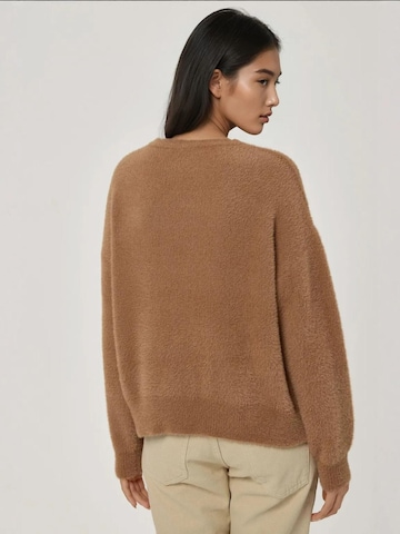 Pull-over 'Pullover' Hiccup en beige