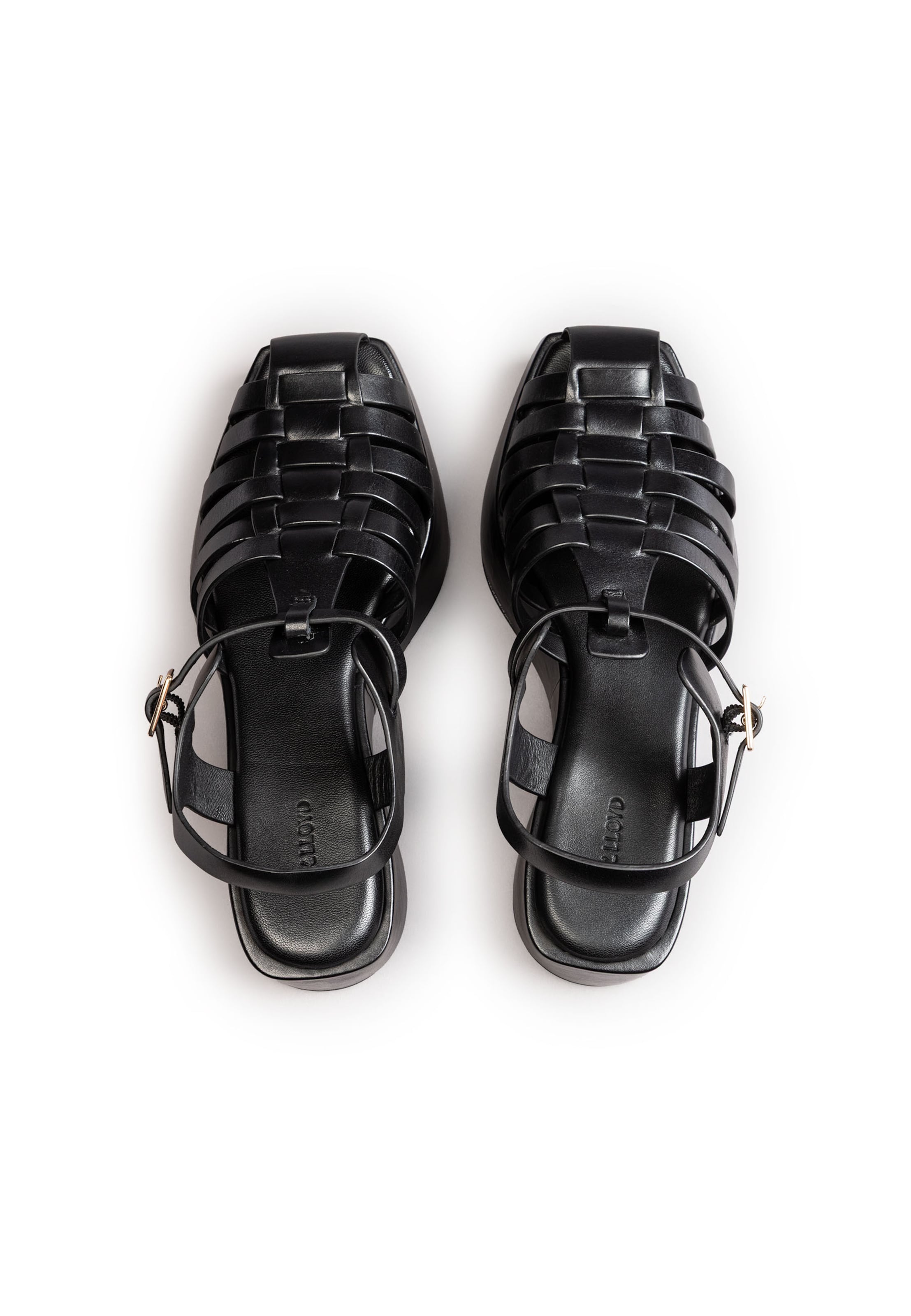 LLOYD Sandalen met riem 'VEGA FRAME' in Zwart