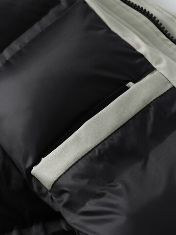 ALLTHEMEN Winter Coat 'Eishauch' in Grey