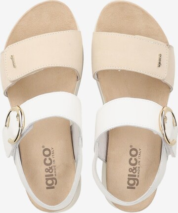 IGI&CO Sandals in Beige