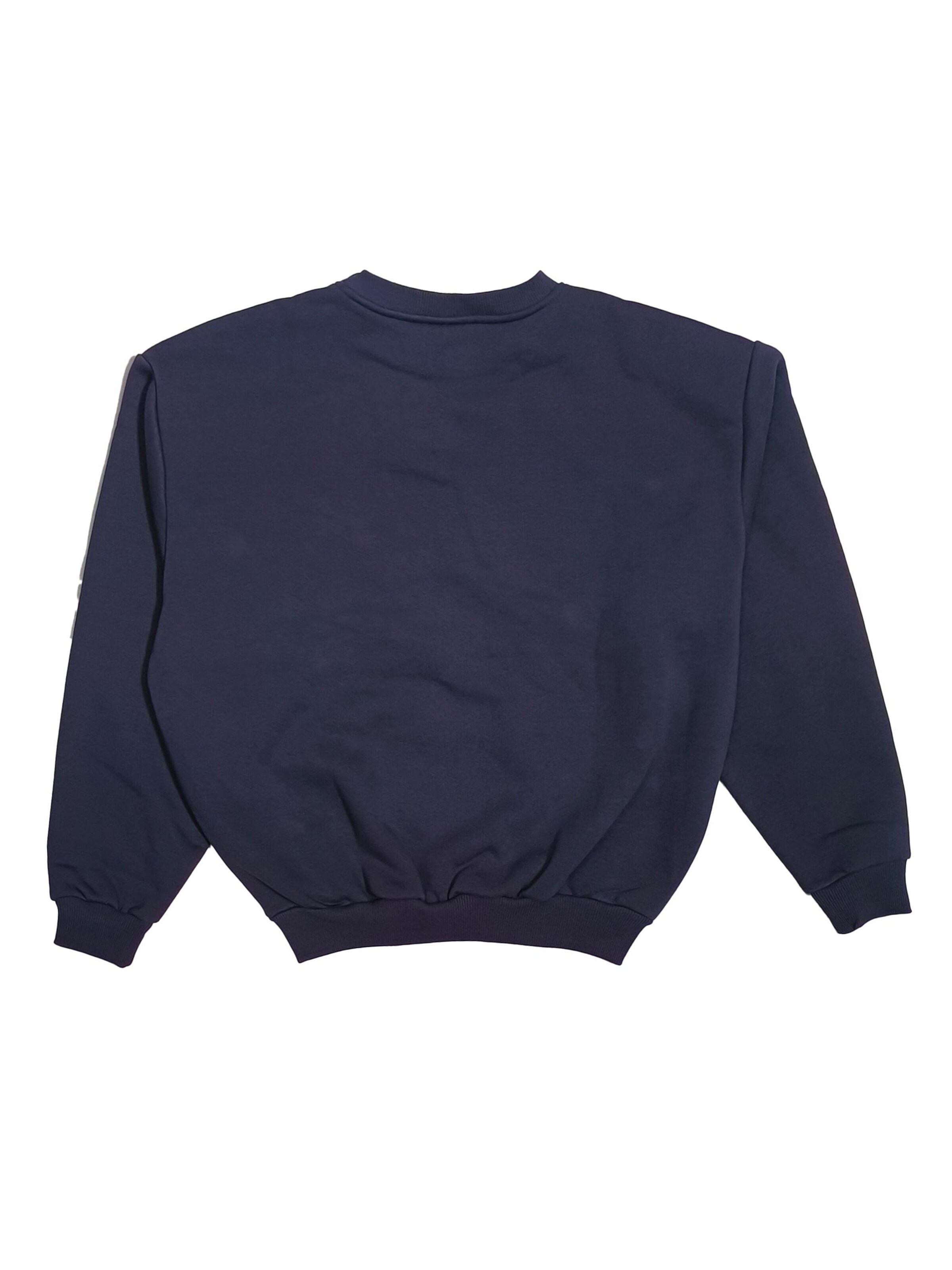 Karl Kani Sweatshirt 'Varsity OS' in Blue