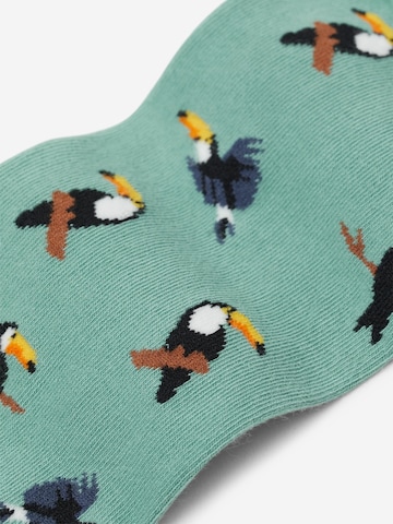 Von Jungfeld Socken 'Tukan' in Blau