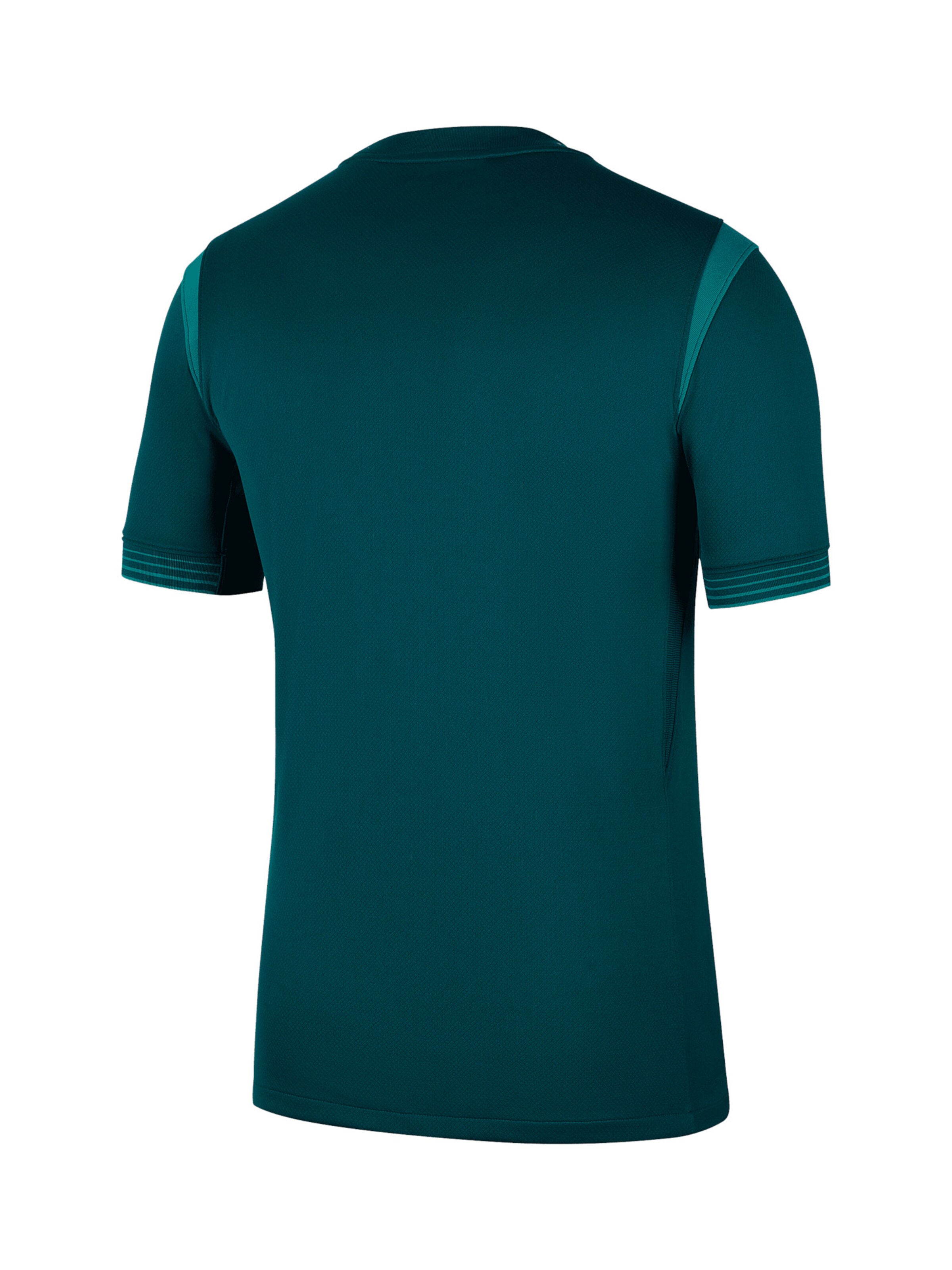 NIKE Jersey 'Nigeria 2025/2026' in Green