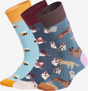 DillySocks Socken 'Cute Animal' in Blau: Vorderseite