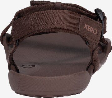 Xero Shoes Sandals 'Z-Trek' in Brown: front