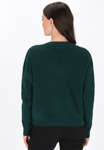 Pull-over Usha en vert