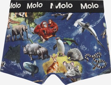 Molo Underpants 'Justin' in Blue