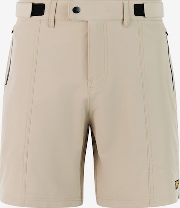 PROTEST Broek 'PRTBarwick' in Bruin: voorkant