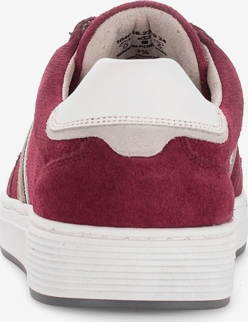 Pius Gabor Sneakers in Wine Red ABOUT YOU
