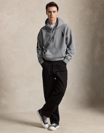 Polo Ralph Lauren Sweatshirt i grå
