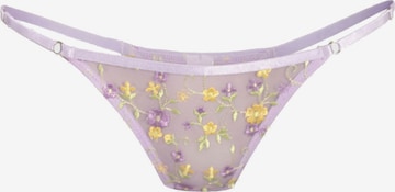 OW Collection String 'LILAC' in Purple: front