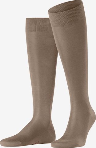 FALKE Kniestrümpfe 'Tiago' in Beige: Vorderseite