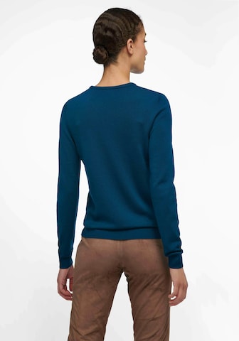 Pull-over Peter Hahn en bleu