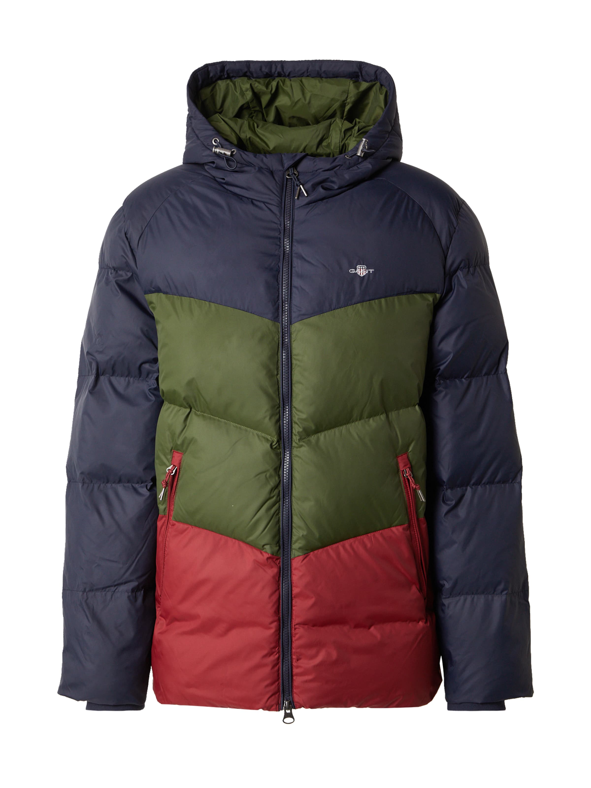 mėlyna GANT Žieminė striukė: priekis