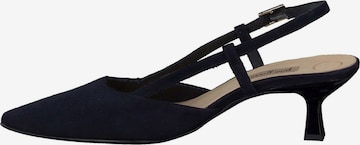 Paul Green Pumps in Blau