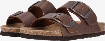 Cruz Mules 'Bundao' in Brown