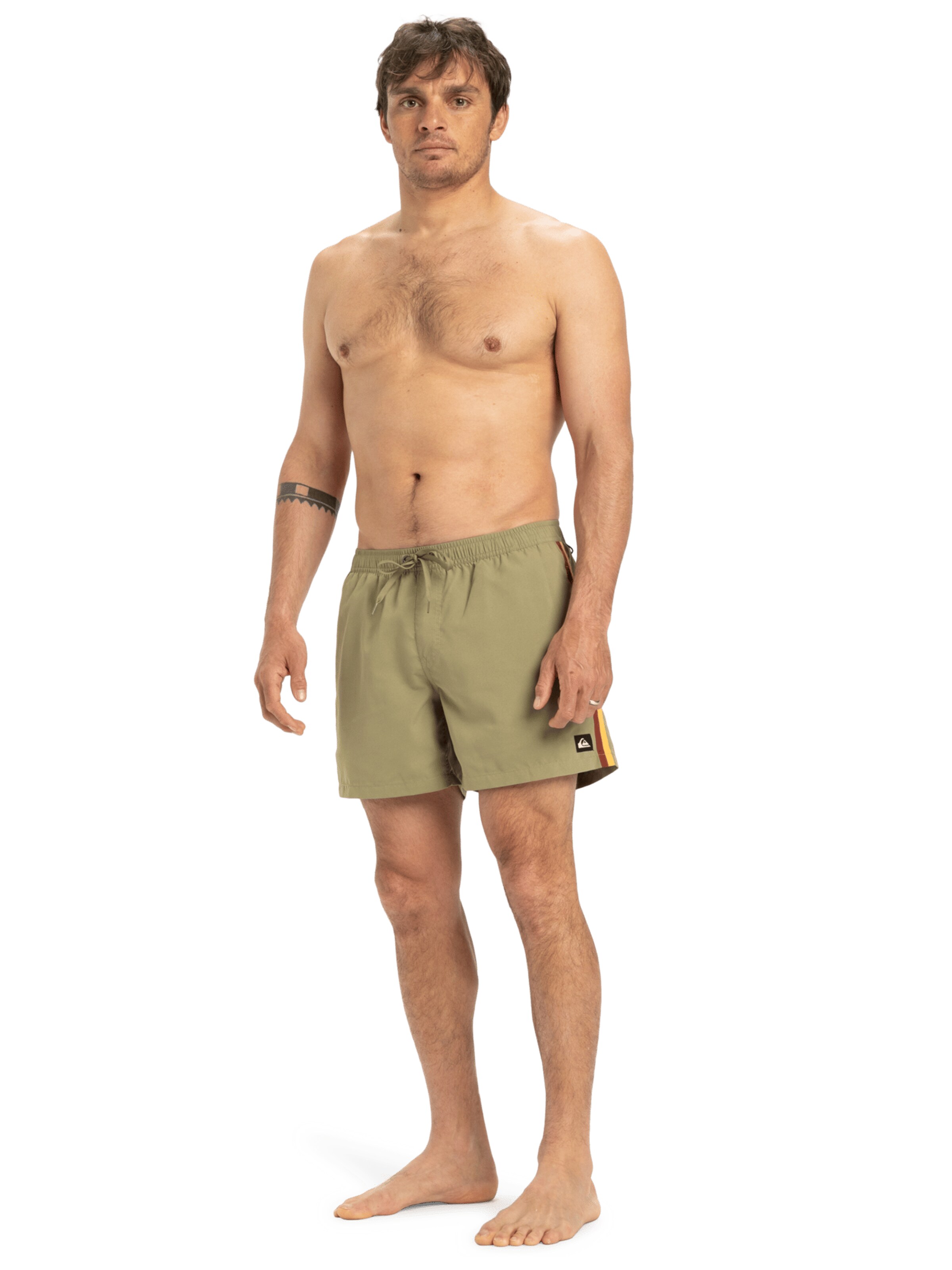 QUIKSILVER Regular Badeshorts 'Everyday Beach 15' in Grün