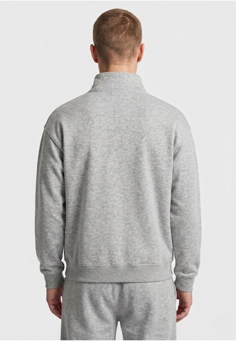 Urban Classics Sweatshirt in Grau: Rückseite