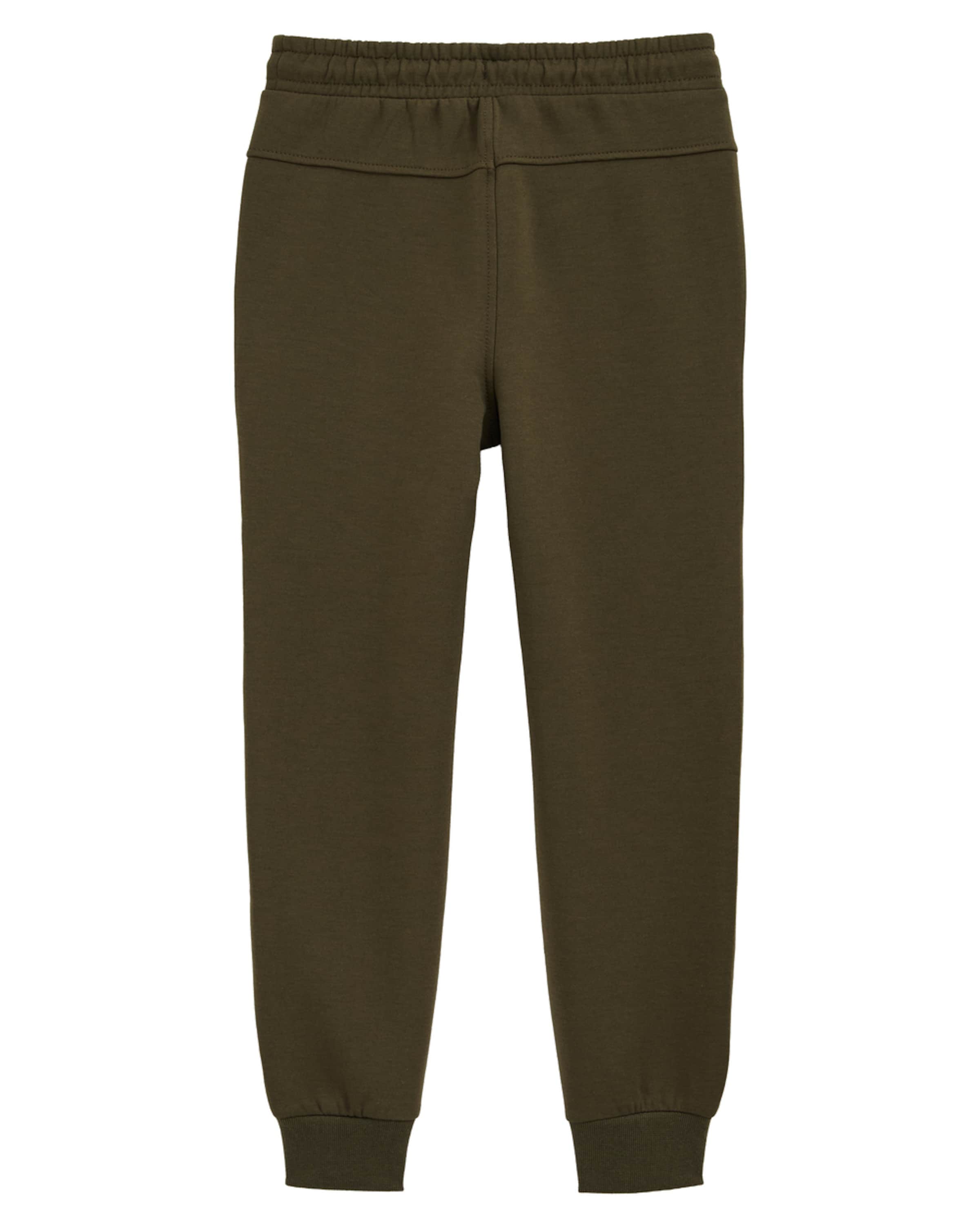 WE Fashion Regularen Hlače | zelena barva