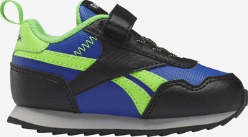 Reebok Sneaker 'Royal' in Blau