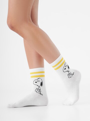 CODELLO Socks in Pink