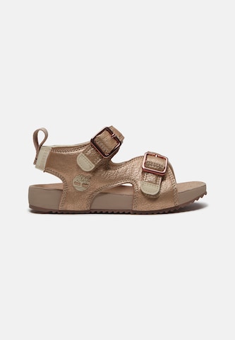 Sandales TIMBERLAND en bronze