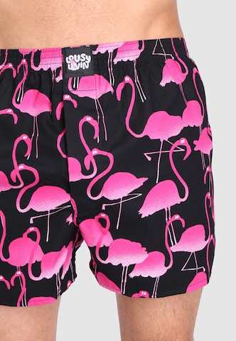 Lousy Livin Boxer shorts 'Flamingo' in Blue