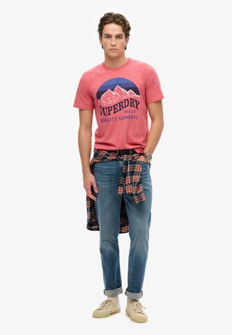 Superdry Shirt in Pink