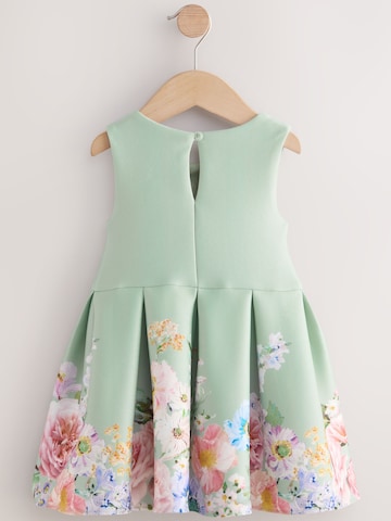 Next Dress in Green