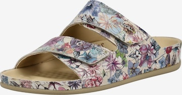 vital Mules in Mixed colors: front