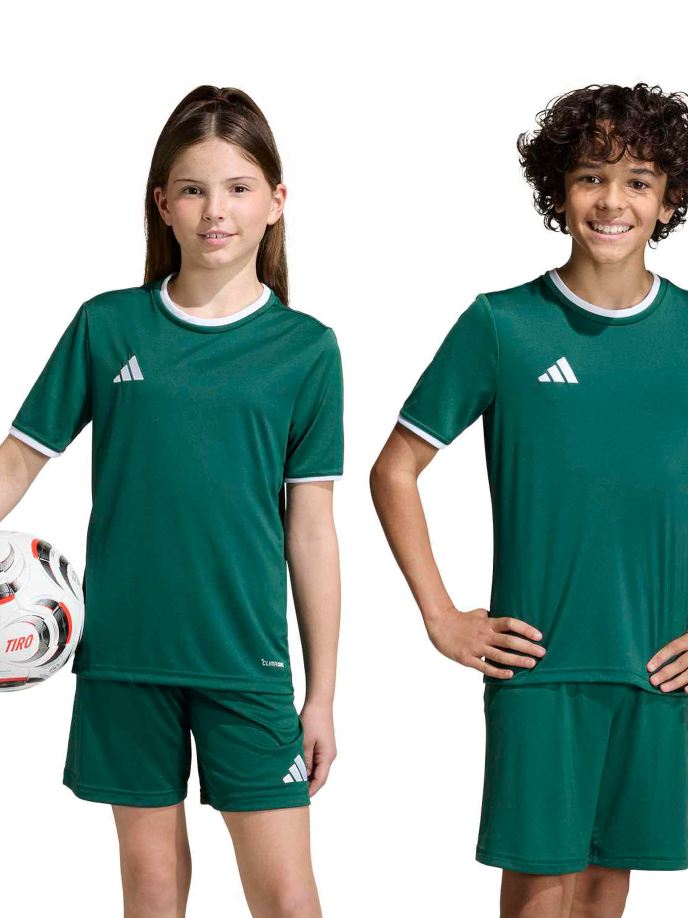 Tricou funcțional 'ENT26' de la ADIDAS PERFORMANCE pe verde: față
