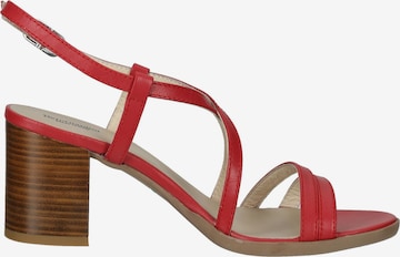 Sandales à lanières Nero Giardini en rouge