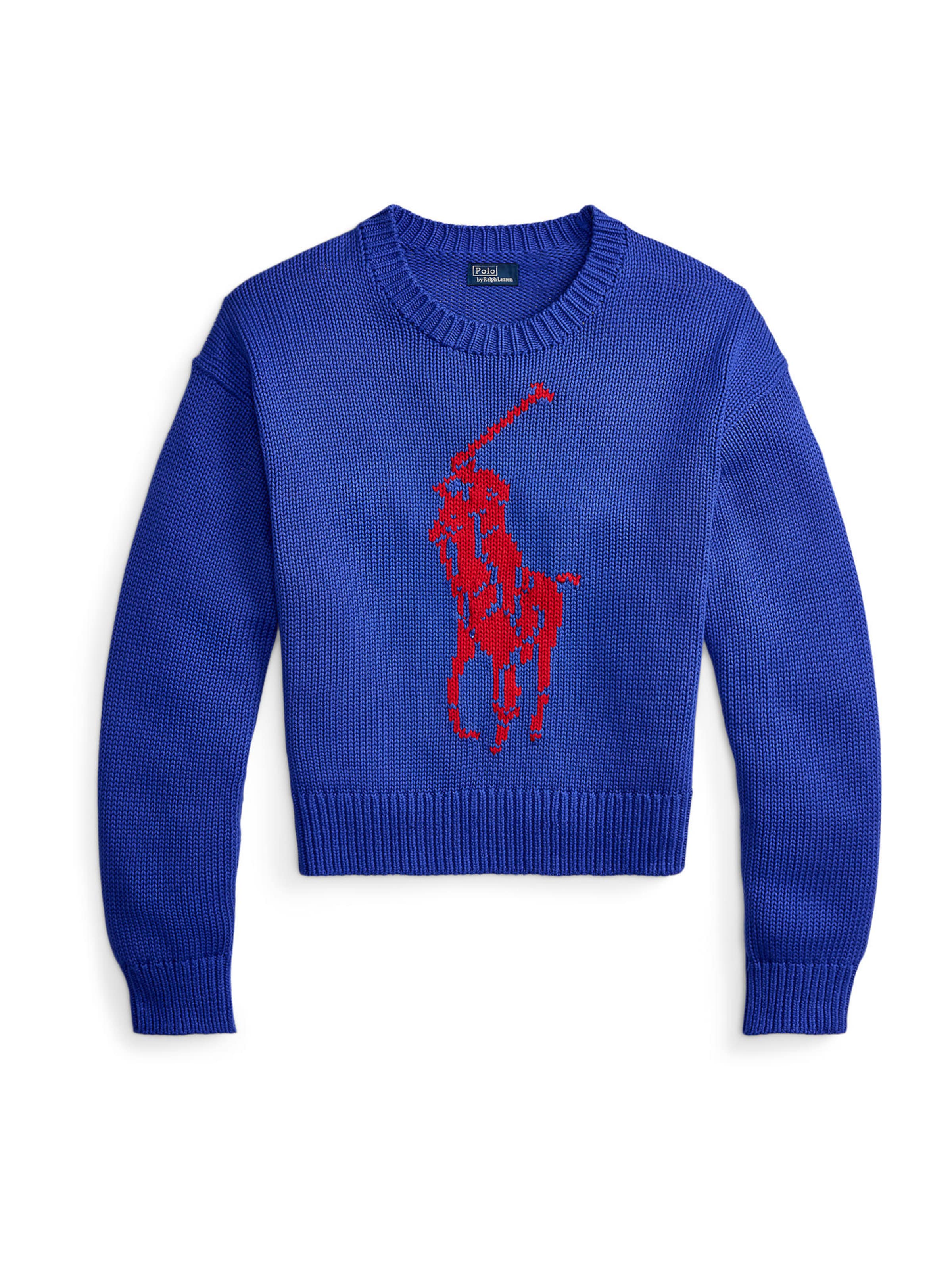 Polo Ralph Lauren Свитер в Синий: спереди