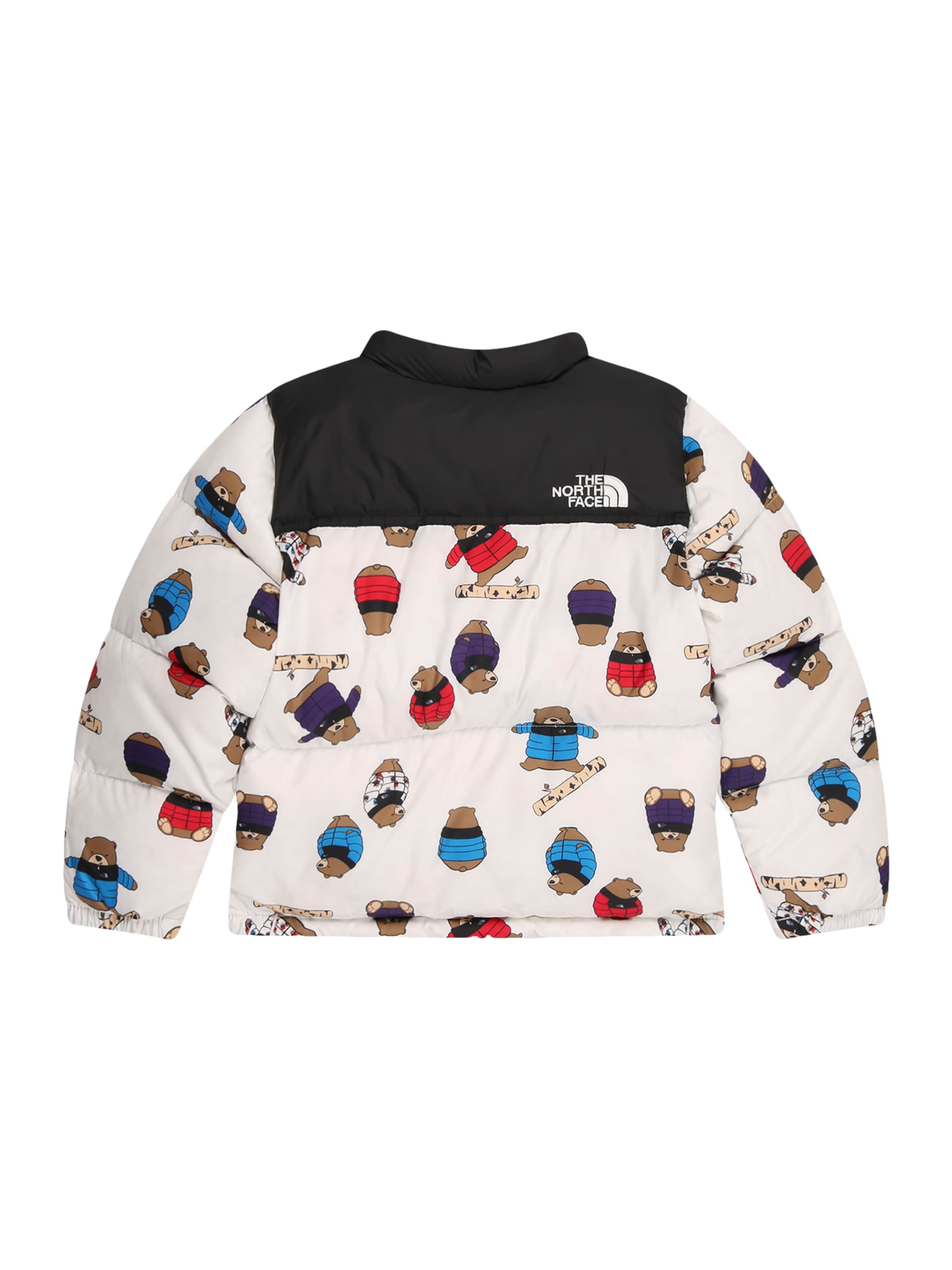 THE NORTH FACE Куртка в спортивном стиле в Белый