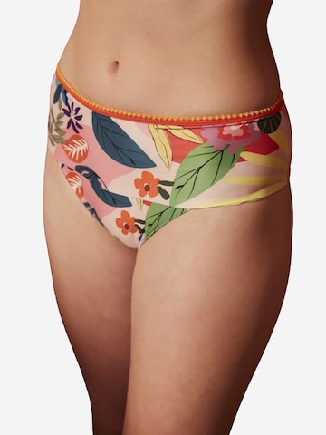 Bas de bikini Penti en mélange de couleurs