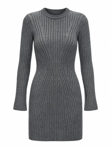 Robes en maille 'Strickkleider' Ethiquet en gris : devant