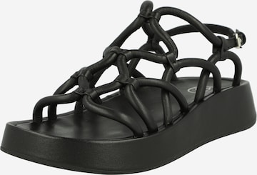 ASH Sandalen met riem 'VENUS' in Zwart: voorkant