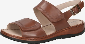 CAPRICE Sandals in Brown: front