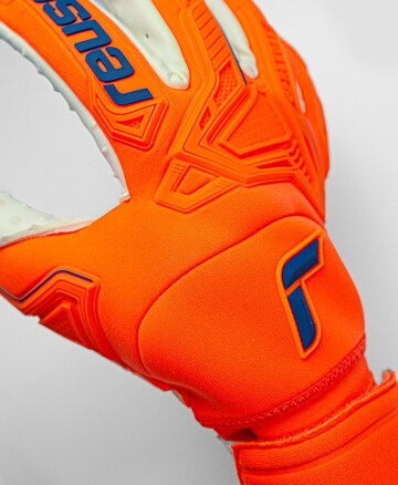 REUSCH Sporthandschoenen 'Attrakt Freegel SpeedBump' in Oranje