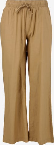 Cruz Regular Pants 'Jessy' in Brown: front