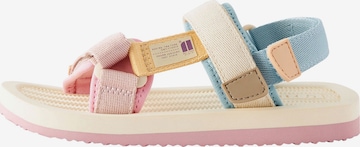 rožinė Next Sandalai: priekis