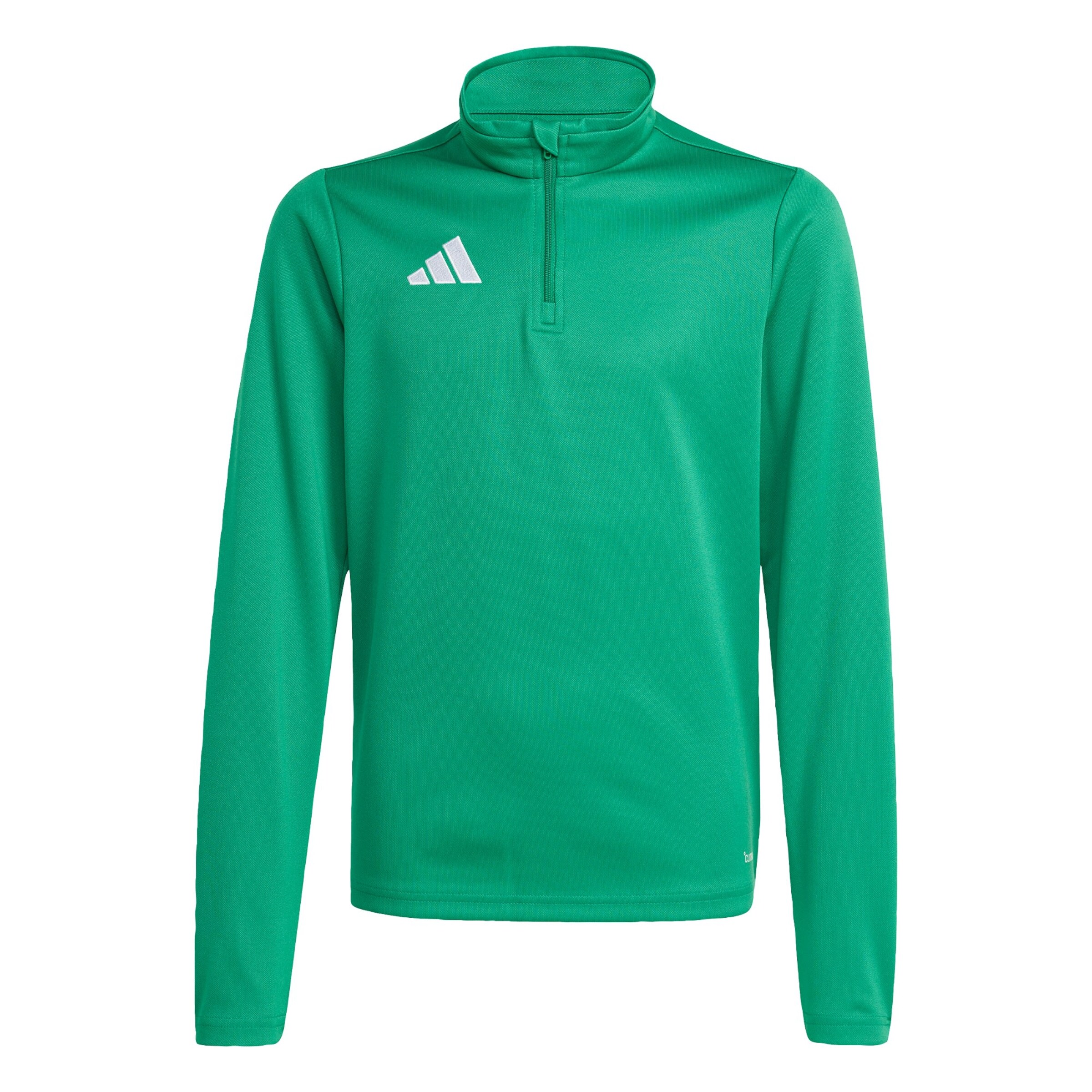 T-Shirt fonctionnel 'Entrada26' ADIDAS PERFORMANCE en vert : devant